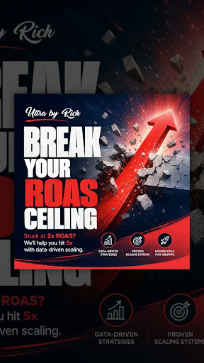 Breaking ROAS Barriers for Lasting Growth