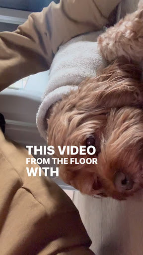 Revolutionize Lead Capture with AI Today