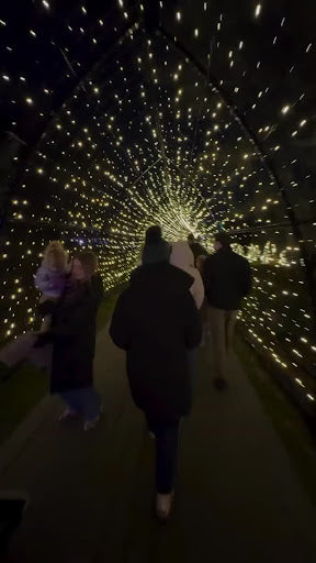 Illuminate Your Christmas in Utah 2025