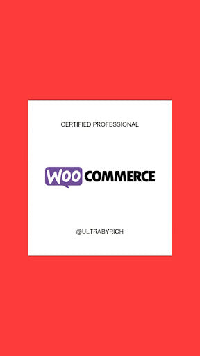 Unlock Results with Certified WooCommerce Experts
