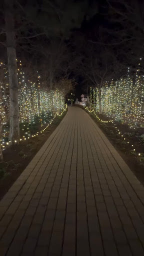 Creating Holiday Magic with UltraByRich