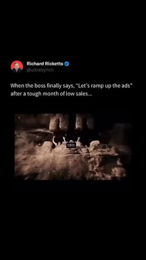 Revitalize Your Campaigns and Capture Audiences